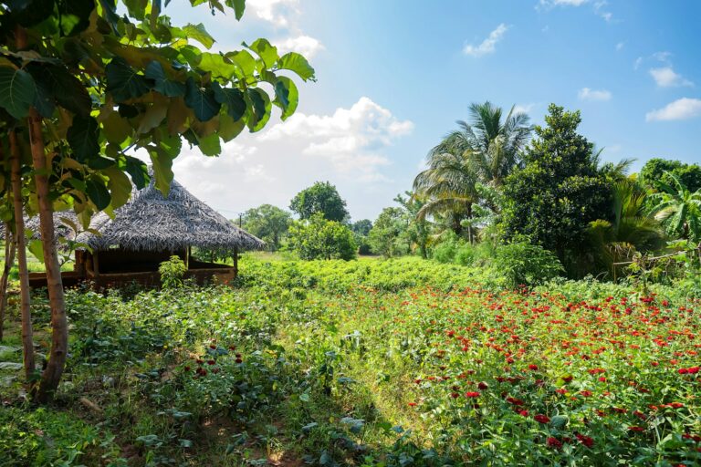 House in village in Sri Lanka