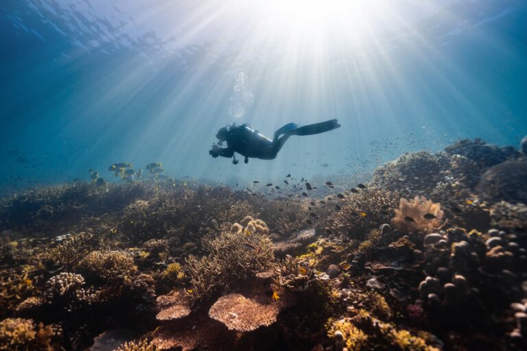 Mesmerizing view of a female scuba diver swimming underwater