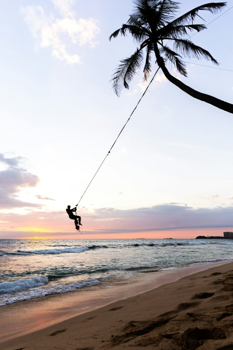 Palm tree swing above ocean at Dalawella Beach, Unawatuna, Sri Lanka,