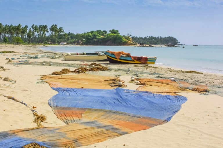 Trincomalee Fishing Boats and Nets